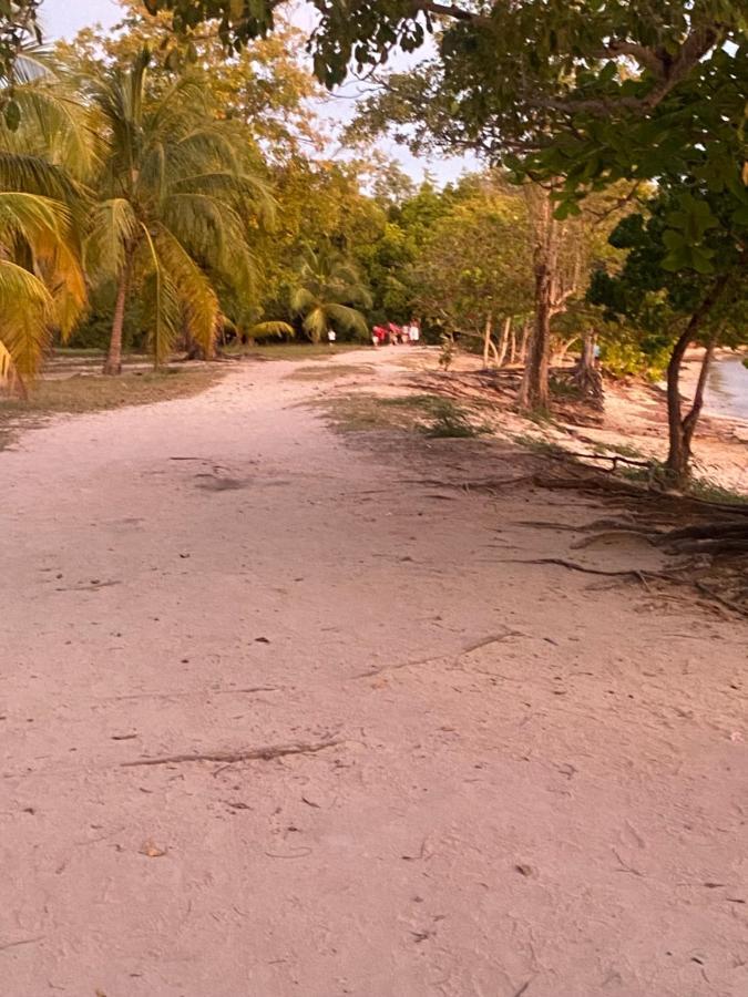 La Maison De La Plage Sainte-Luce Buitenkant foto